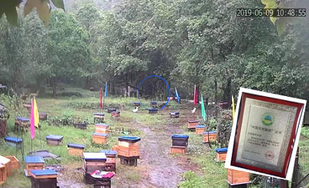 哇塞！江西山蜂食品用一罐罐好蜜“甜”出大名堂