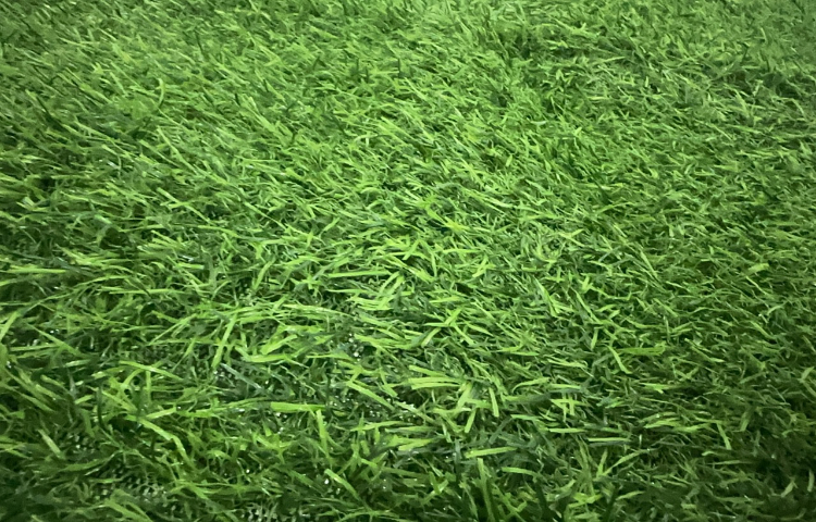 注塑草坪PP料廠家