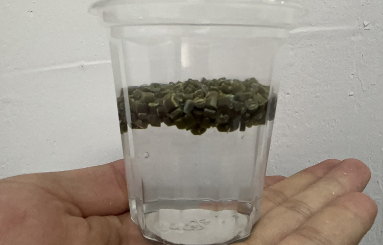浙江人工草皮PP料價格 浙江沃府新材料科技供應