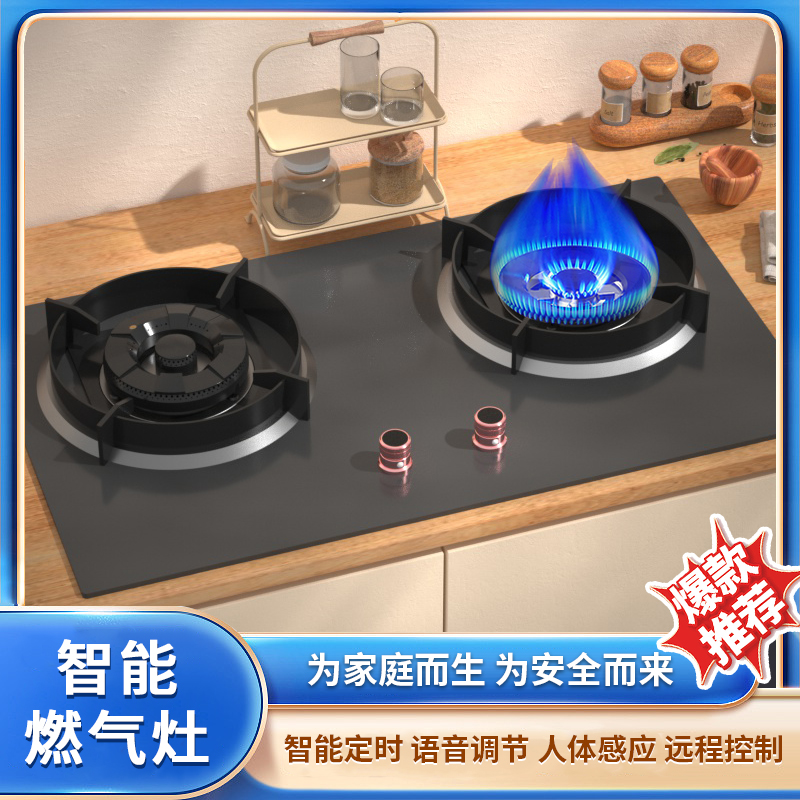 智能燃?xì)庠? title=