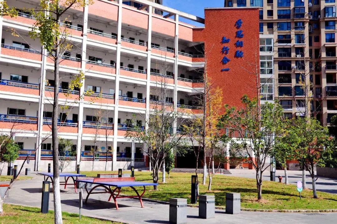 浙江省青田縣江南實驗學校智慧圖書館