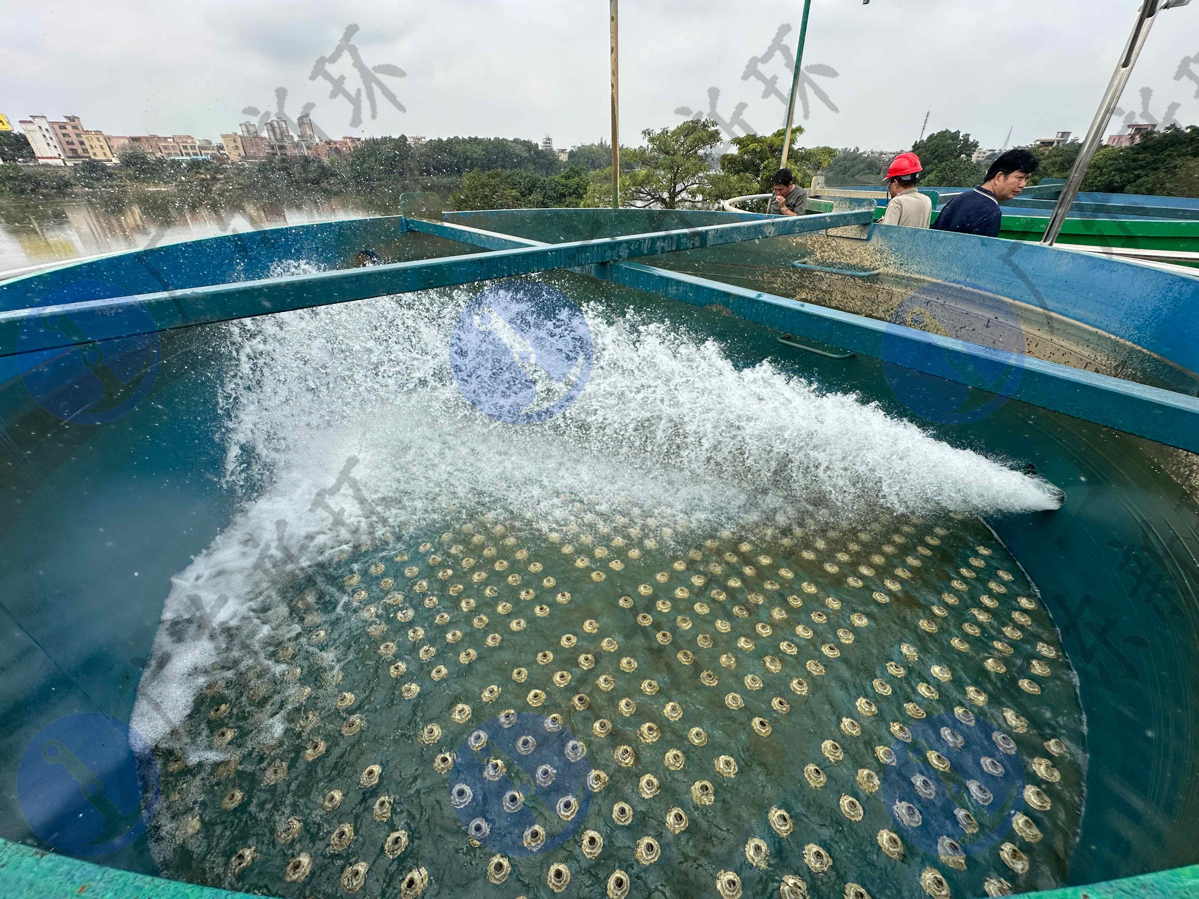 新環工藝設備化裝備:江河、水庫飲用自來水廠環保尾水尾泥高效凈化系統處理裝備