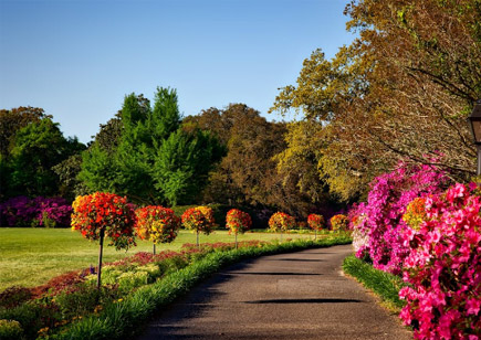 案例：山東某校區水系景觀、海綿城市建設