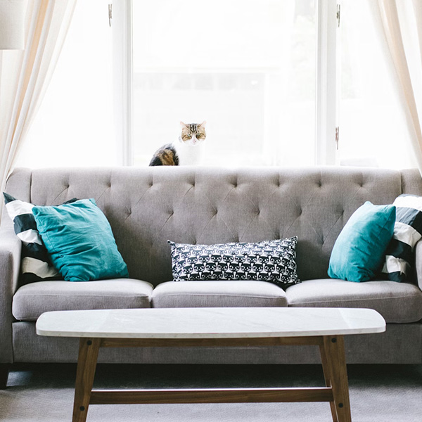 鋁合金門窗定制與批發(fā)：為何選擇我司？