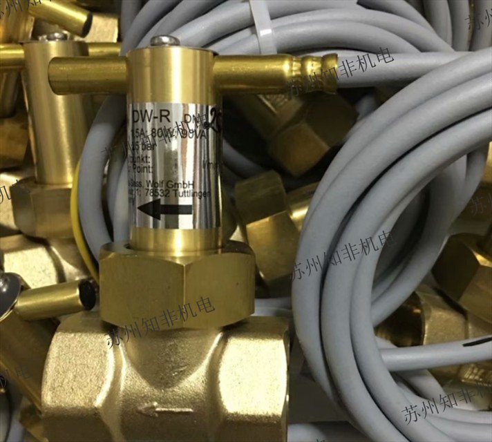 德國HSW渦輪流量計DW-D-AV552369,DW-R20水流開關,DW-LM(DN10)流量開關,DP03.M.10.0流量傳感器,DKM-1/90G1現(xiàn)貨