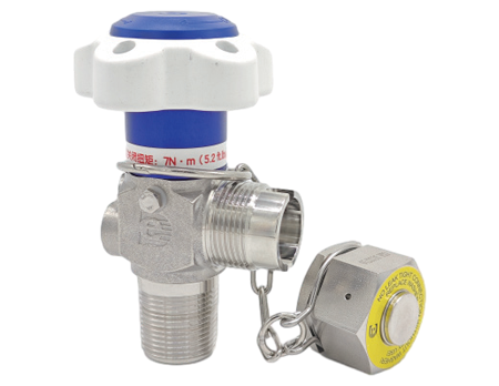 BF204-φ8大通徑閥門