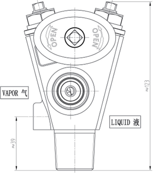 BF142系列雙端口氣液瓶閥