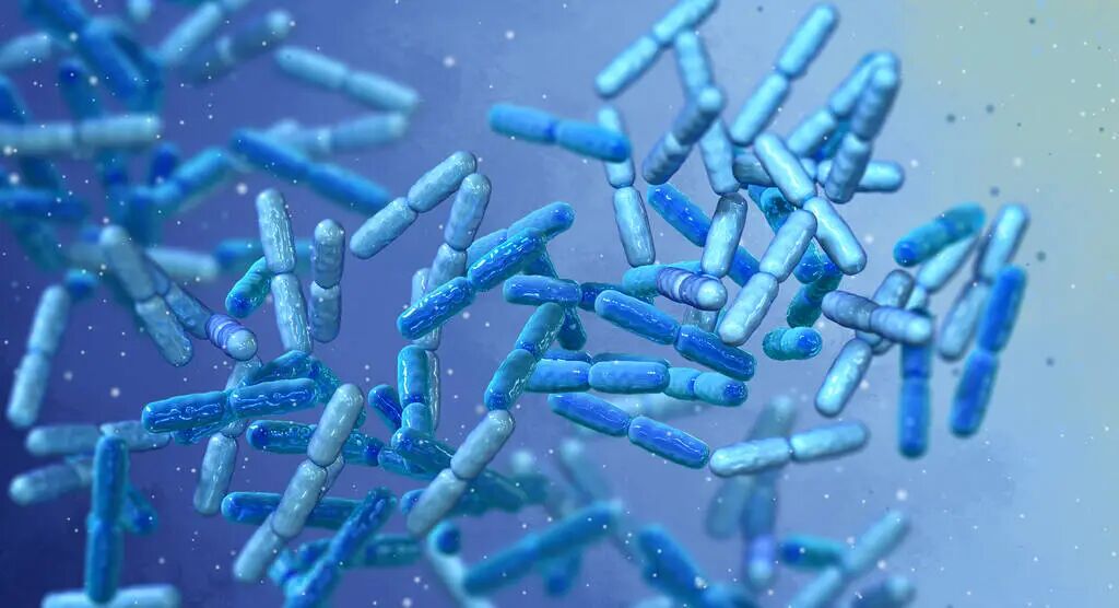 別再糾結幾百億活菌了，腸道真正吃的是這一樣