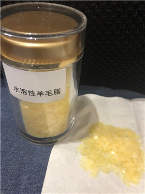 水溶性羊毛脂：天然護(hù)膚成分的新寵