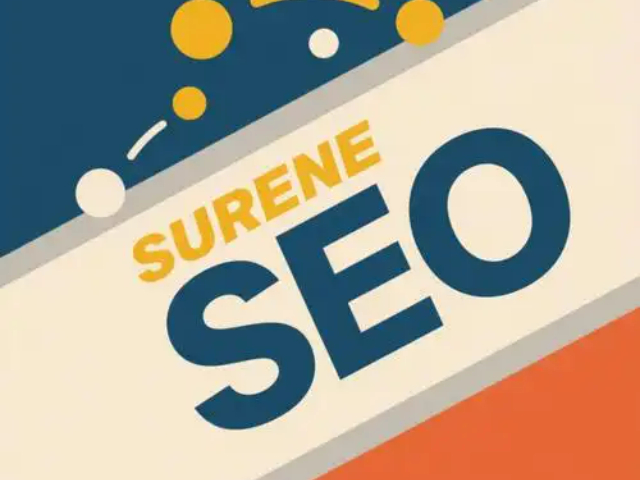 來安自動(dòng)化SEO網(wǎng)站推廣服務(wù)方案 鑄造輝煌 安徽承錦數(shù)據(jù)智能供應(yīng)