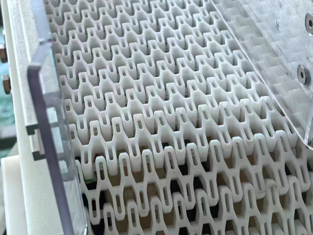 衡陽(yáng)可清洗鏈板輸送線(xiàn) 朗博旺智能科技供應(yīng)