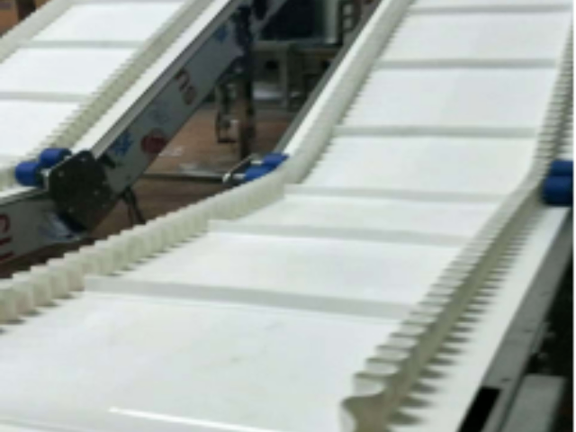 石家莊重型鏈板輸送線(xiàn)方案 朗博旺智能科技供應(yīng)