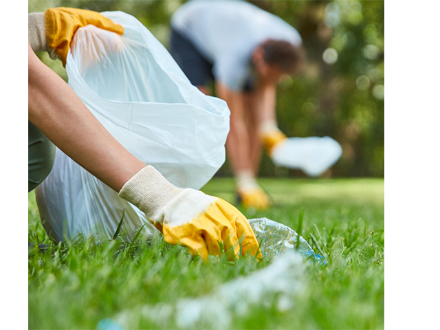 江蘇回收有禮垃圾分類服務(wù)技術(shù)支持 服務(wù)至上 深圳市綠匣子科技供應(yīng)