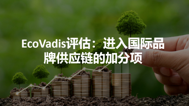 机械设备EcoVadis复审