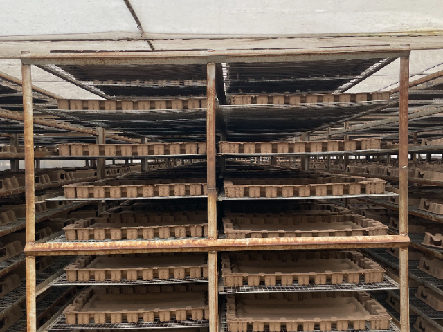 湖南环保纸托厂家,纸塑