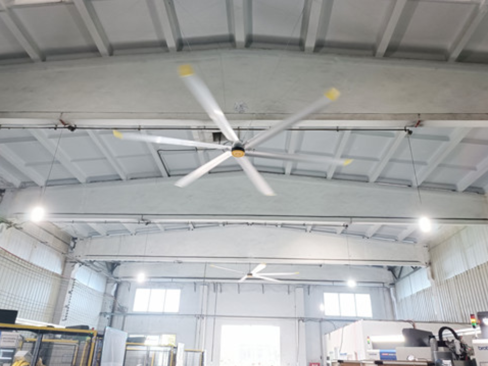 风扇展示图 风扇展示图