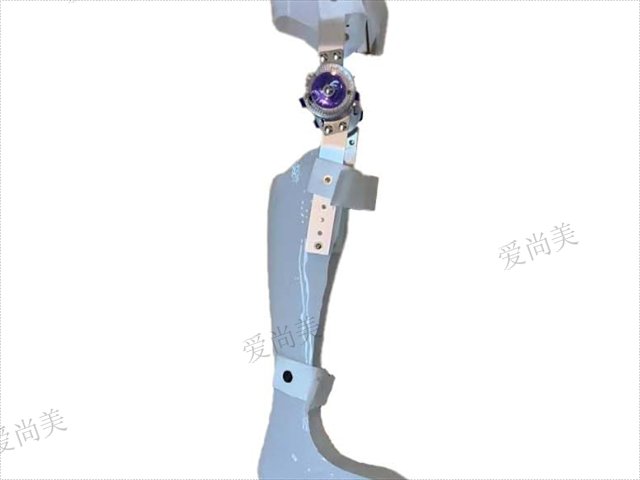 辽宁躯干支具价格多少,支具