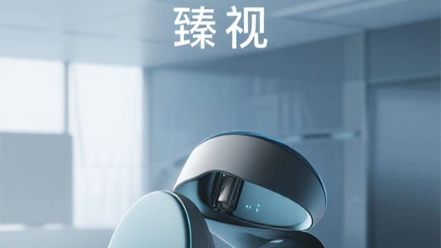 湖里區技術臻視軟件,臻視
