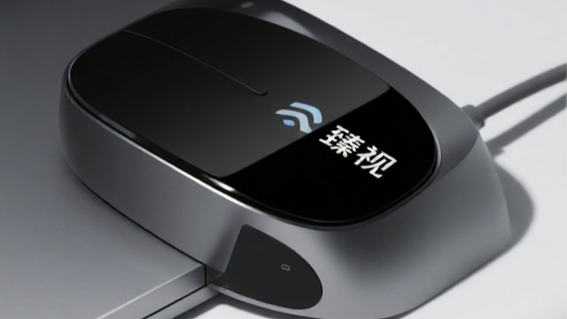 永春信息臻視類型,臻視