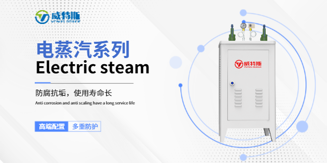 安徽蒸汽發生器廠家推薦 江蘇威特斯鍋爐制造供應