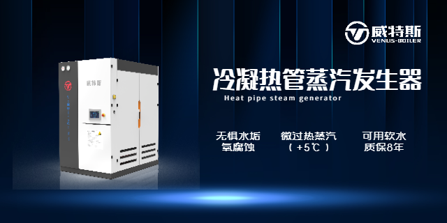河北0.6噸蒸汽發生器 江蘇威特斯鍋爐制造供應