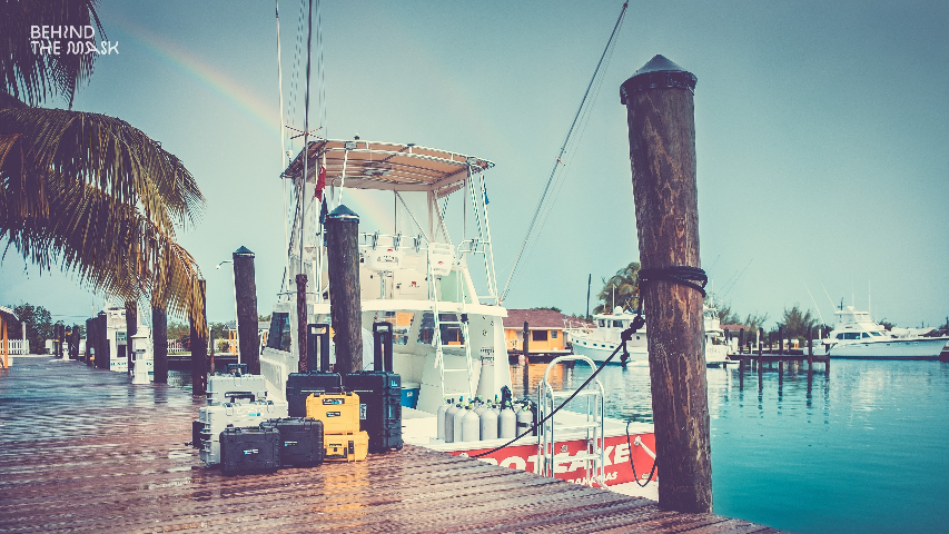 浙江衛(wèi)星通訊安全箱網(wǎng)站 倍威實業(yè)供應(yīng)