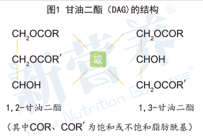 辽宁原材料甘油二酯订制价格 客户至上 深圳市康颜生物科技供应