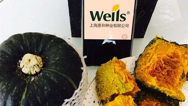 山東進口貝貝南瓜批發(fā) 歡迎咨詢 上?；莺头N業(yè)供應