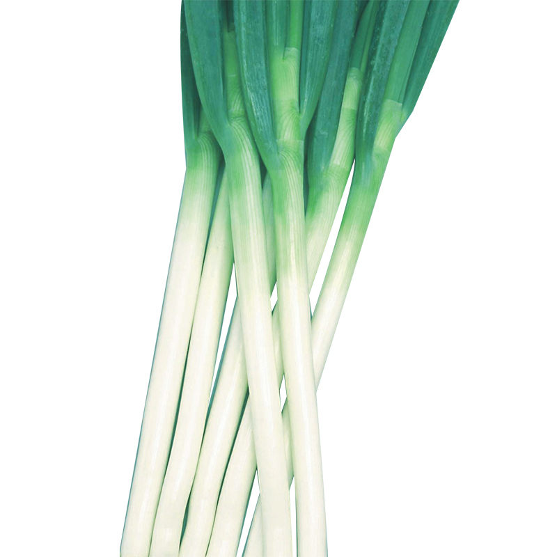 荣耀