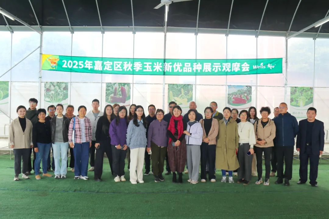 2025年秋季玉米新優品種展示觀摩會——26個參展品種助力產業升級