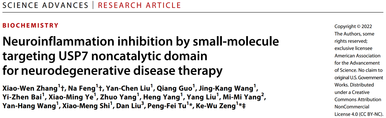 《Adv Sci》解讀：野馬追內(nèi)酯靶向USP7抑制神經(jīng)炎癥