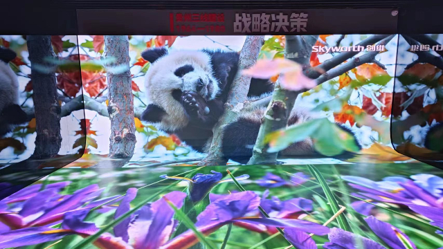 湘潭多功能LED顯示屏價格