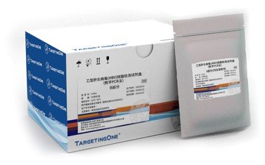 乙型肝炎病毒(HBV)核酸檢測(cè)試劑盒(數(shù)字PCR法)