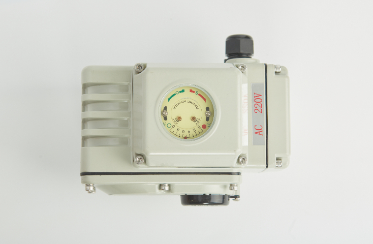 天津DC24V直流電機電動執(zhí)行器源頭廠家 鑄造輝煌 武漢歐美克科技供應(yīng);