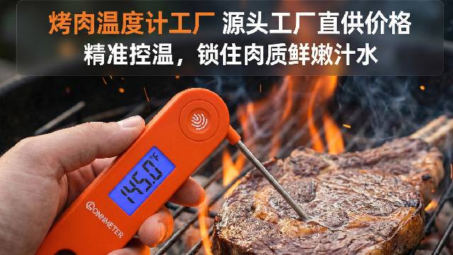 深圳烧烤温度计哪家靠谱