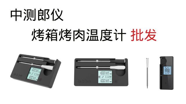 广东口碑好的烧烤温度计