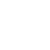 項目執(zhí)行