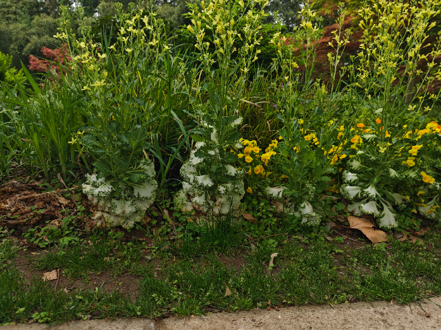 易知源植物蔗糖合成酶檢測(cè) 值得信賴 南京易知源檢測(cè)技術(shù)供應(yīng)