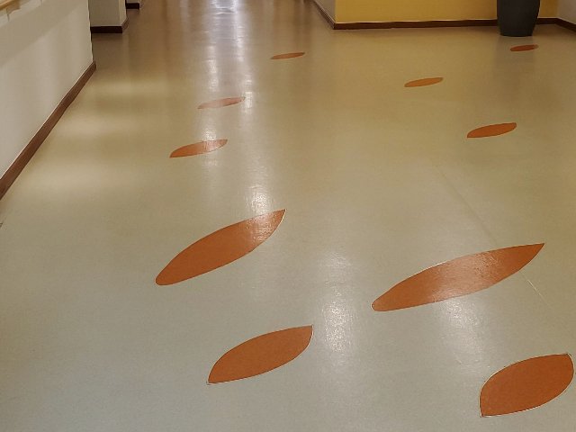 江蘇綠色pvc地膠歡迎選購,pvc地膠