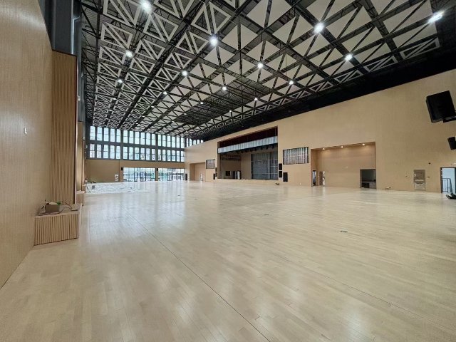 江苏发展运动木地板有哪些,运动木地板
