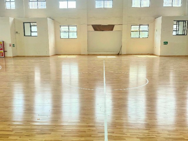 福建技术运动木地板性能,运动木地板
