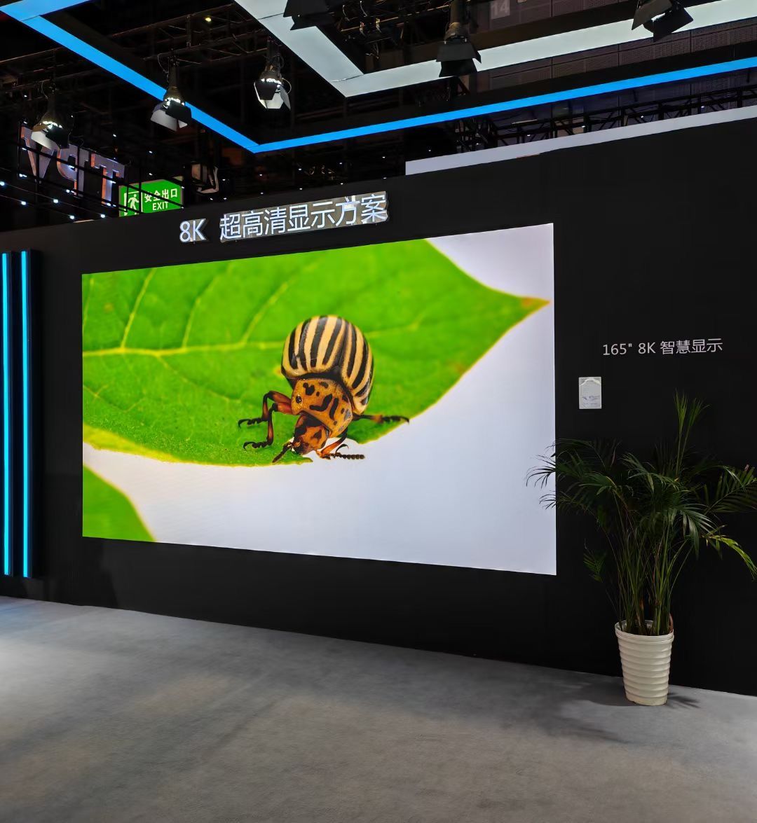 Micro LED預(yù)期市場(chǎng)超百億