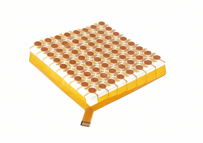 北京電子皮膚有什么用 真誠(chéng)推薦 深圳市模量科技供應(yīng);