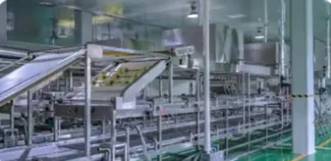 大型食品加工用戶體驗