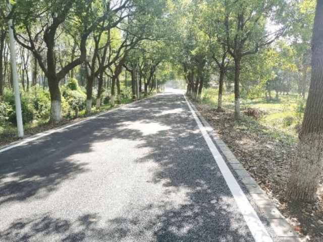 上海怎么做园林道路景观路面设计服务,园林道路景观路面