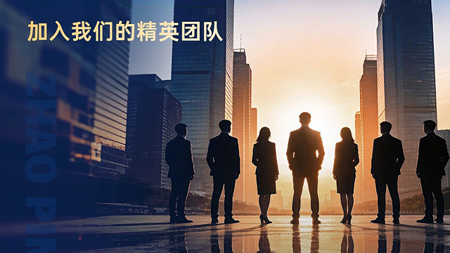 大渡口区旧享家合伙人招聘类型