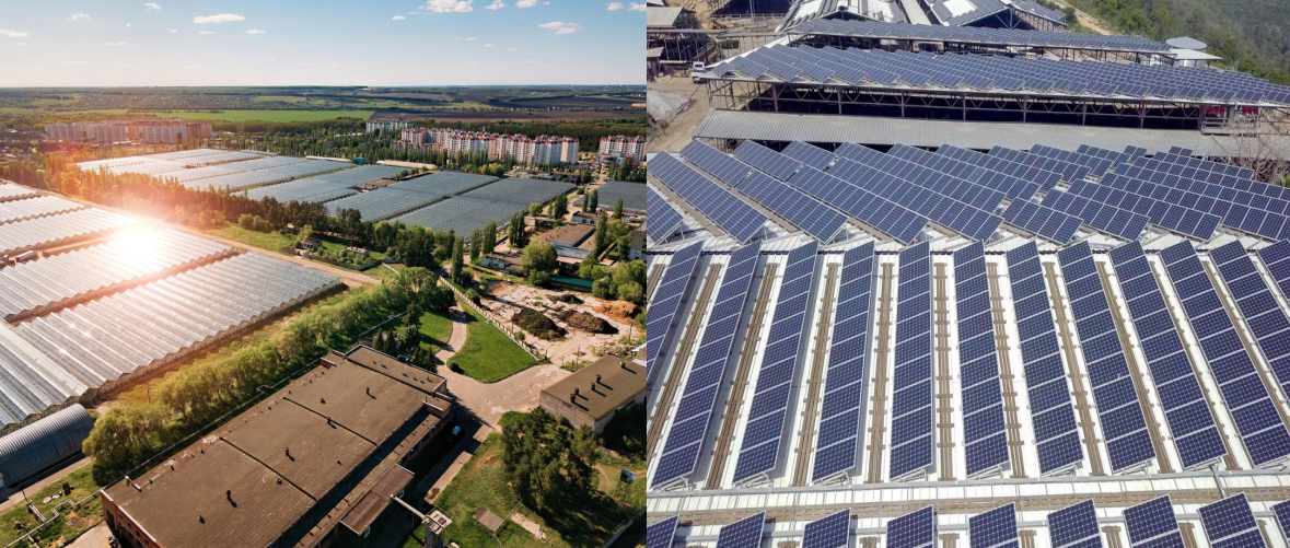 Solar Panel