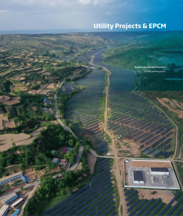 07cb766e4a8202d05e29c9fb3ad5becf