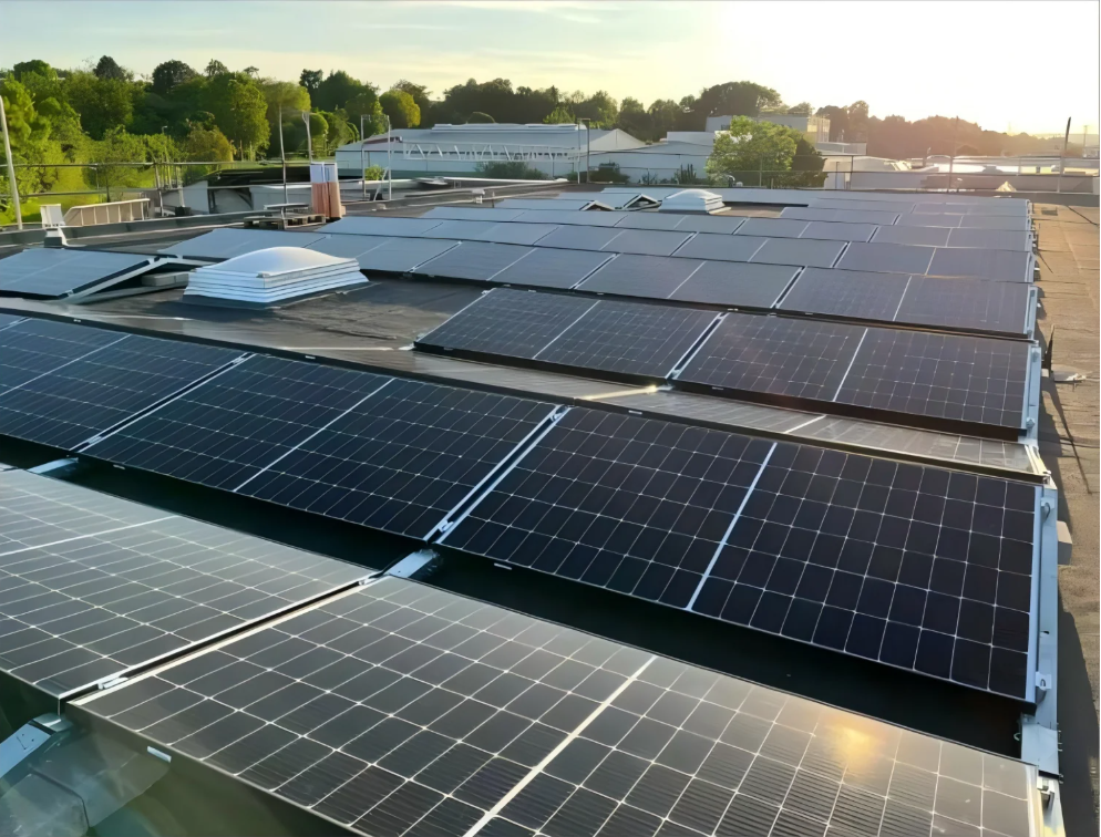 58e1cf33a4202a61cc728e7e8d41eb5e