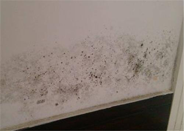 青浦区包工包料的墙面返潮发霉修缮怎么预防